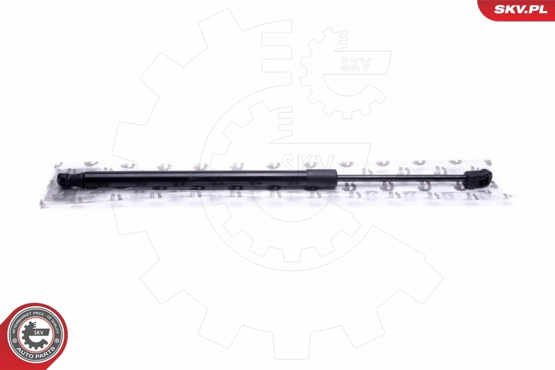 Gas Spring, boot/cargo area